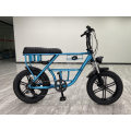 OEM Bicycle 20 Inch Shimano 7 Speed Man Fat Electric Bike